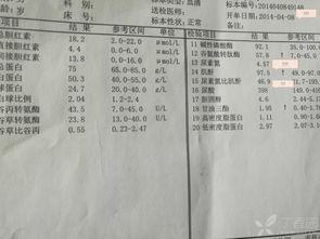 肌酐91正常上限73,探究健康警示与应对策略